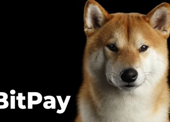 ViMoney: Shiba Inu và Dogecoin và một số đồng được hỗ trợ bởi BitPay đã được chấp nhận bởi NOYACK Logistics Income
