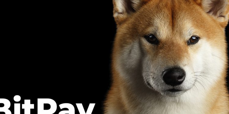 ViMoney: Shiba Inu và Dogecoin và một số đồng được hỗ trợ bởi BitPay đã được chấp nhận bởi NOYACK Logistics Income