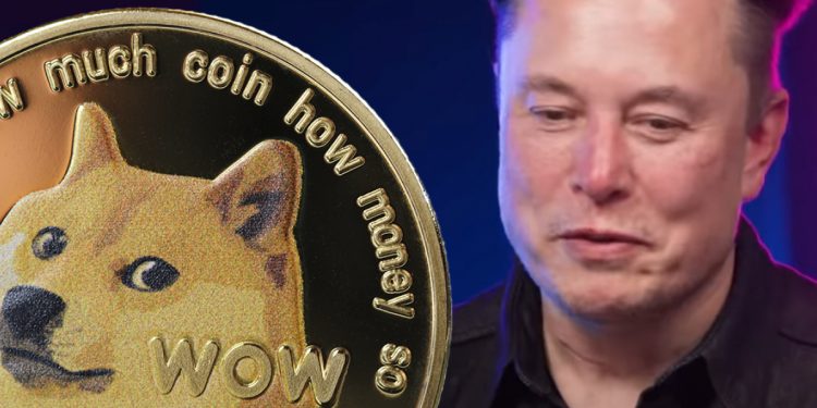ViMoney: Liệu Elon Musk có ẩn ý về Dogecoin hay không? h1