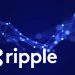Cố vấn của Ripple Stuart Alderoty tin rằng 2022 có thể là năm quyết định cho tiền điện tử