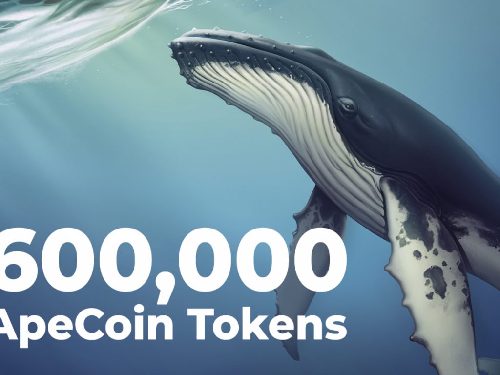 ViMoney: Gần 600.000 mã thông báo ApeCoin được mua bởi cá voi Ethereum hàng đầu