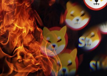 ViMoney: 190 triệu Shiba Inu bị đốt trong vòng 24 giờ khi SHIB xuất hiện nến xanh