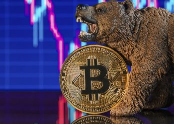 ViMoney: Đây là lý do Willy Woo cho rằng chu kỳ gấu Bitcoin có khả năng kết thúc