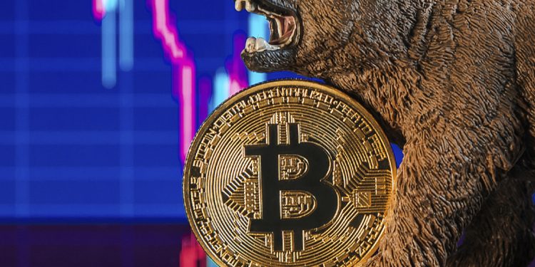 ViMoney: Đây là lý do Willy Woo cho rằng chu kỳ gấu Bitcoin có khả năng kết thúc