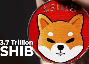 ViMoney: 3,7 nghìn tỷ Shiba Inu rơi vào ví của cá voi h1
