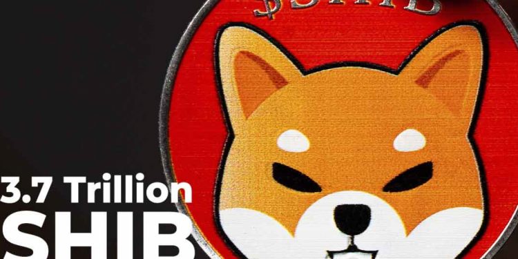 ViMoney: 3,7 nghìn tỷ Shiba Inu rơi vào ví của cá voi h1