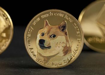 ViMoney: Dogecoin nằm trong Top 10 đồng tiền hàng đầu được cá voi BSC lớn nhất nắm giữ h2
