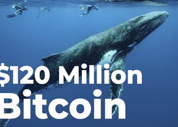 Cá voi ẩn danh bất ngờ đóng vị thế bán khống 120 triệu USD trên thị trường h2