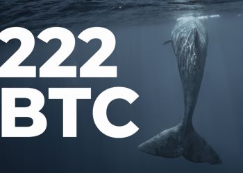 222 BTC do cá voi hàng đầu tích luỹ khi Bitcoin về 42K