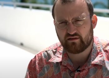 ViMoney: Cardano với "hàng triệu mã thông báo, hàng nghìn dApp"
