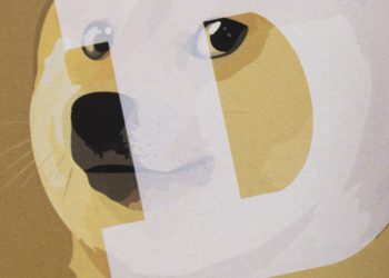 Dogecoin bắt đầu phục hồi sau 24 giờ rung lắc