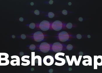Bashoswap bắt đầu chiến dịch bán riêng tư trong whitelist