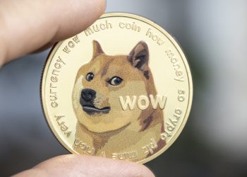 Cá voi Dogecoin tăng số lượng giao dịch DOGE lớn hơn 100%
