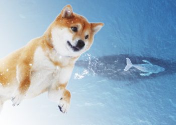 Cá voi Shiba Inu với 4 nghìn tỷ SHIB đa dạng hóa danh mục với MKR, AAVE