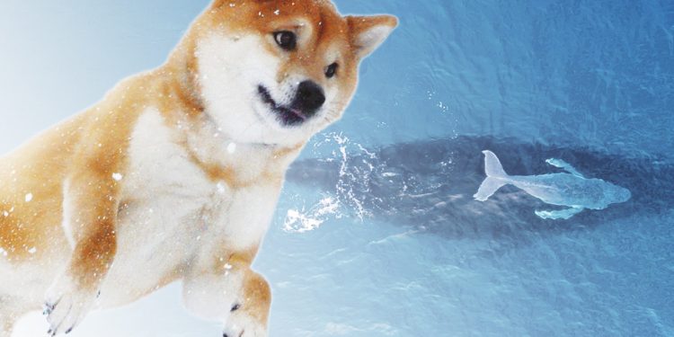 Cá voi Shiba Inu với 4 nghìn tỷ SHIB đa dạng hóa danh mục với MKR, AAVE