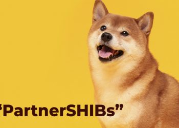 Các đối tác này sẽ giúp nhiều token Shiba Inu được đốt hơn