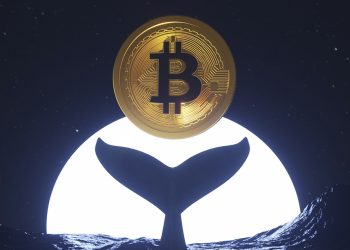 ViMoney: Cá voi Bitcoin thức dậy sau gần 10 năm