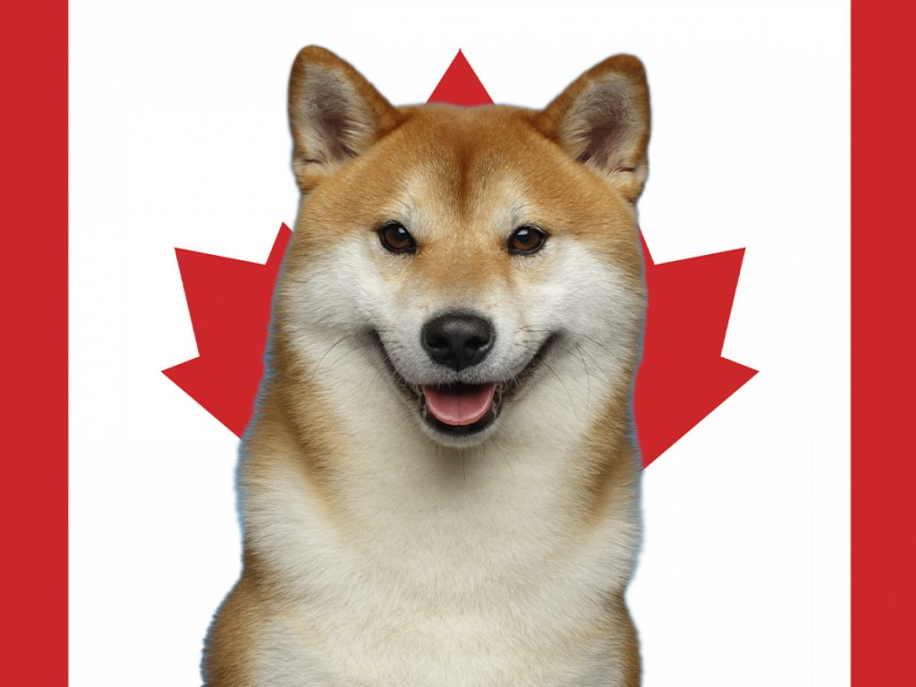 ViMoney: Shiba Inu ra mắt trên nền tảng giao dịch tiền điện tử hàng đầu của Canada h1
