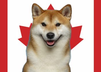 ViMoney: Shiba Inu ra mắt trên nền tảng giao dịch tiền điện tử hàng đầu của Canada h1