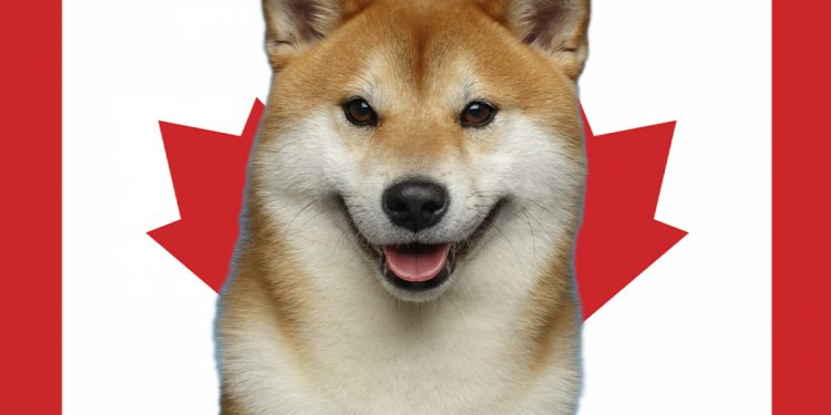 ViMoney: Shiba Inu ra mắt trên nền tảng giao dịch tiền điện tử hàng đầu của Canada h1