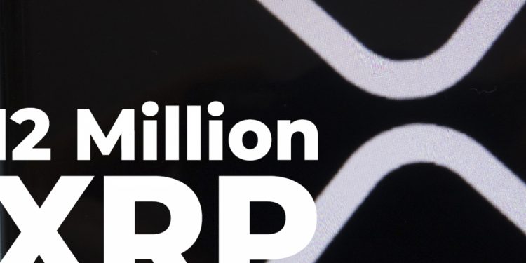 12 triệu XRP chuyển tới địa chỉ ẩn danh vì Ripple vẫn hấp dẫn đối với các nhà đầu tư