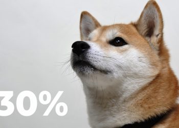 Shiba Inu trở lại với mức tăng vọt 30% vào tháng 3, các giao dịch của cá voi tăng 349%