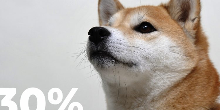 Shiba Inu trở lại với mức tăng vọt 30% vào tháng 3, các giao dịch của cá voi tăng 349%