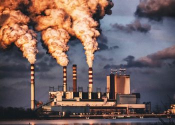 ViMoney: Thị trường giao dịch hàng hóa đang sôi động