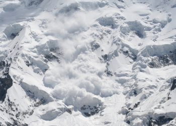 Quỹ Avalanche hướng tới mục tiêu tăng tốc các mạng con với Chương trình ưu đãi trị giá 290 triệu đô la