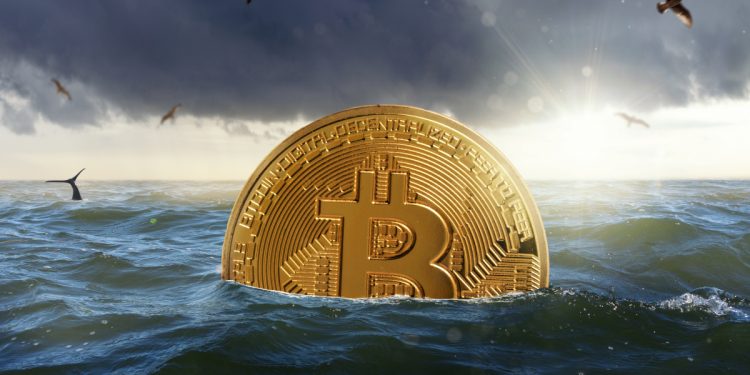50 USD đã trở thành 20 triệu USD – Ví Bitcoin thời Satoshi chứa 489 BTC đột ngột kích hoạt sau 11 năm