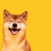 Giá Shiba Inu tăng 7%, vượt qua các đồng tiền hàng đầu khác