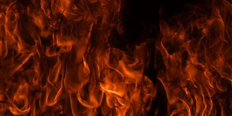 ViMoney: NowPayments ra mắt tính năng đốt Shiba Inu (SHIB) h1