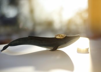 Ví Bitcoin cổ đại chứa 407 BTC được kích hoạt