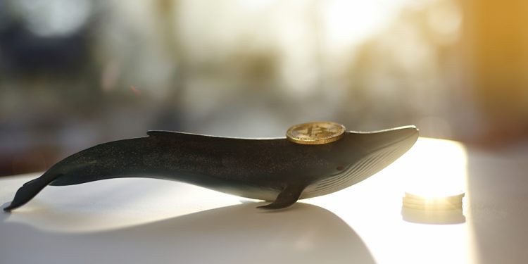 Ví Bitcoin cổ đại chứa 407 BTC được kích hoạt