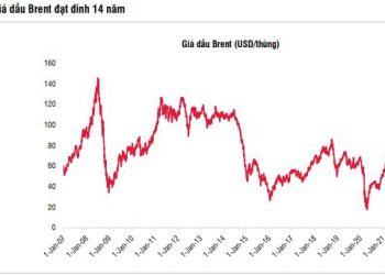 ViMoney: Biến động giá dầu tác động thế nào đến doanh nghiệp dầu khí?
