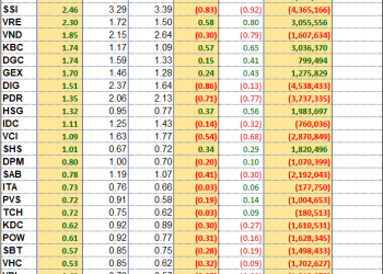 CEO, HUT, DXG và 5 mã khác vào VNM ETF