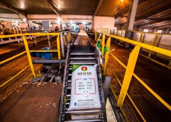 DCM bị xử phạt hành chính hơn nửa tỷ đồng