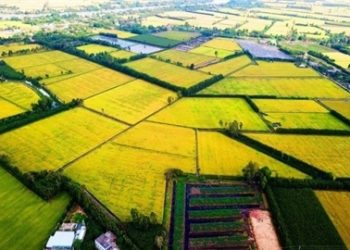 ViMoney: Mô hình đa trung tâm - định hướng phát triển miền Tây