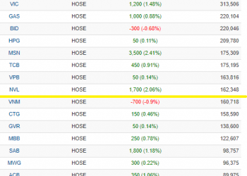 ViMoney: ViMoney: VNM rời top 10 vốn hóa lớn nhất thị trường, NVL thế chỗ