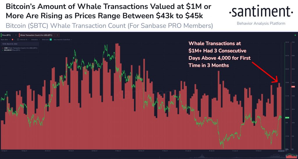 ViMoney: Cá voi Bitcoin sôi động với giao dịch vượt 1 triệu đô la