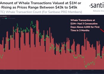 ViMoney: Cá voi Bitcoin sôi động với giao dịch vượt 1 triệu đô la