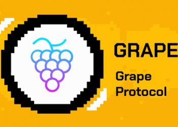 Grape Protocol là gì? Tìm hiểu về giao thức Grape và token GRAPE