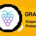 Grape Protocol là gì? Tìm hiểu về giao thức Grape và token GRAPE