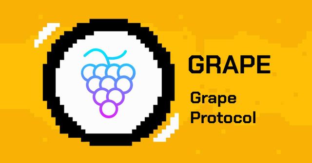 Grape Protocol là gì? Tìm hiểu về giao thức Grape và token GRAPE
