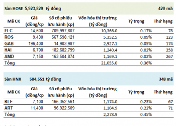 ViMoney: Họ FLC đóng góp thế nào cho thị trường chứng khoán?