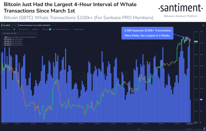ViMoney: Terra mua thêm 139 triệu đô la BTC khi các giao dịch cá voi Bitcoin tăng vọt h2