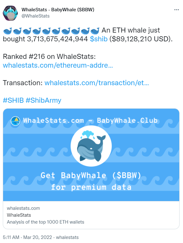 ViMoney: 3,7 nghìn tỷ Shiba Inu rơi vào ví của cá voi