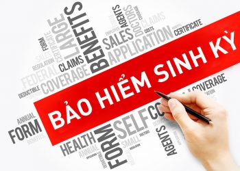 Bảo hiểm sinh kỳ là gì? Khái niệm về bảo hiểm sinh kỳ và bảo hiểm nhân thọ 2022