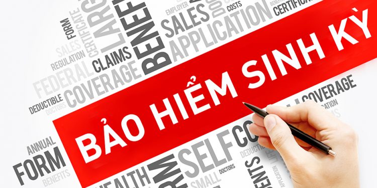 Bảo hiểm sinh kỳ là gì? Khái niệm về bảo hiểm sinh kỳ và bảo hiểm nhân thọ 2022