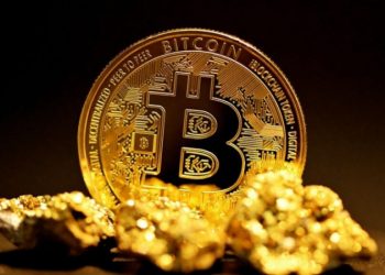 Bill Miller: "Bitcoin là bảo hiểm chống lại thảm họa tài chính”